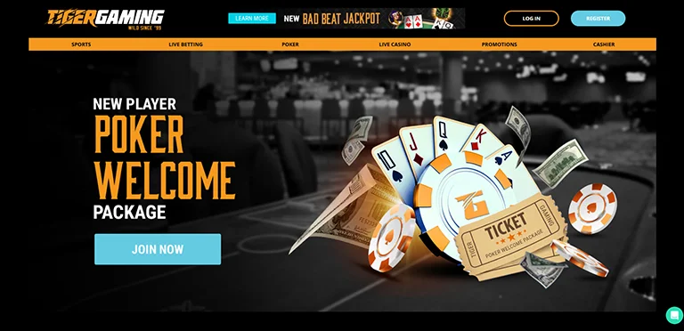 Tiger Gaming hjemmeside