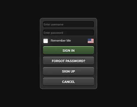 Logg inn på kontoen: